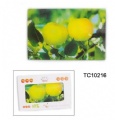 Tempered glass chopping board